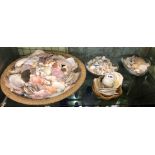 WICKER BASKET AND OTHER CONTAINERS OF VARIOUS SEASHELLS, PERIWINKLES,