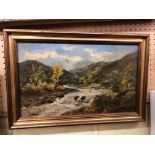 OIL ON CANVAS OF A MOUNTAINOUS RIVER LANDSCAPE SIGNED G.F.