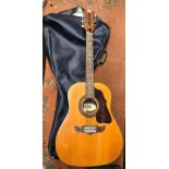 MELODY 12 STRING ACOUSTIC GUITAR NO.