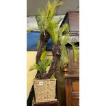 ARTIFICIAL TREE FERN IN SEAGRASS POT