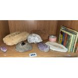 SHELF OF VARIOUS FOSSILS AND ROCK SAMPLES
