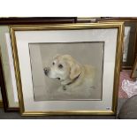 CHALK AND PASTELS ON PAPER PORTRAIT HEAD OF A LABRADOR ENTITLED CEASAR, MONOGRAMED AJG,