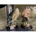 COUNTRY ARTISTS MODEL OF THE SPARROW HAWK,