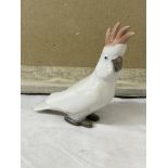 BING AND GRONDAHL PORCELAIN PINK CRESTED COCKATOO 2178