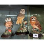 COUNTRY ARTISTS TAWNY OWL, LITTLE OWL,