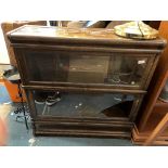 TWO SECTION GLOBE WERNICKE STYLE BOOKCASE