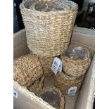 BOX OF MORA SEAGRASS LINED PLANTERS