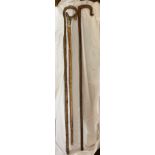 TWO HAZEL SHEPHERDS CROOK WALKING CANES AND AN ANTLER HEADED STAFF