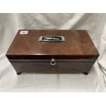 BURR WALNUT JAGUAR CAR VELVET LINED BOX