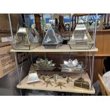 SHELF OF VARIOUS TERRARIUMS AND MIRRORED CANDLE HOLDERS,