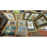 SELECTION OF WATERCOLOURS OF BIRDS AND BOTANICAL STUDIES F/G