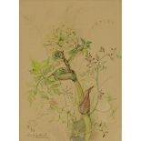 Anjuta (Anna) Gersdorff-Obolensky (1898-1973), A FLOWERING BRANCH, Watercolour; signed "A. Gersdorff