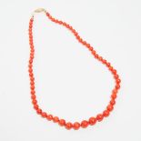 A Coral Beaded Necklace, 14K金镶天然珊瑚项链, length 20.5 in — 52 cm