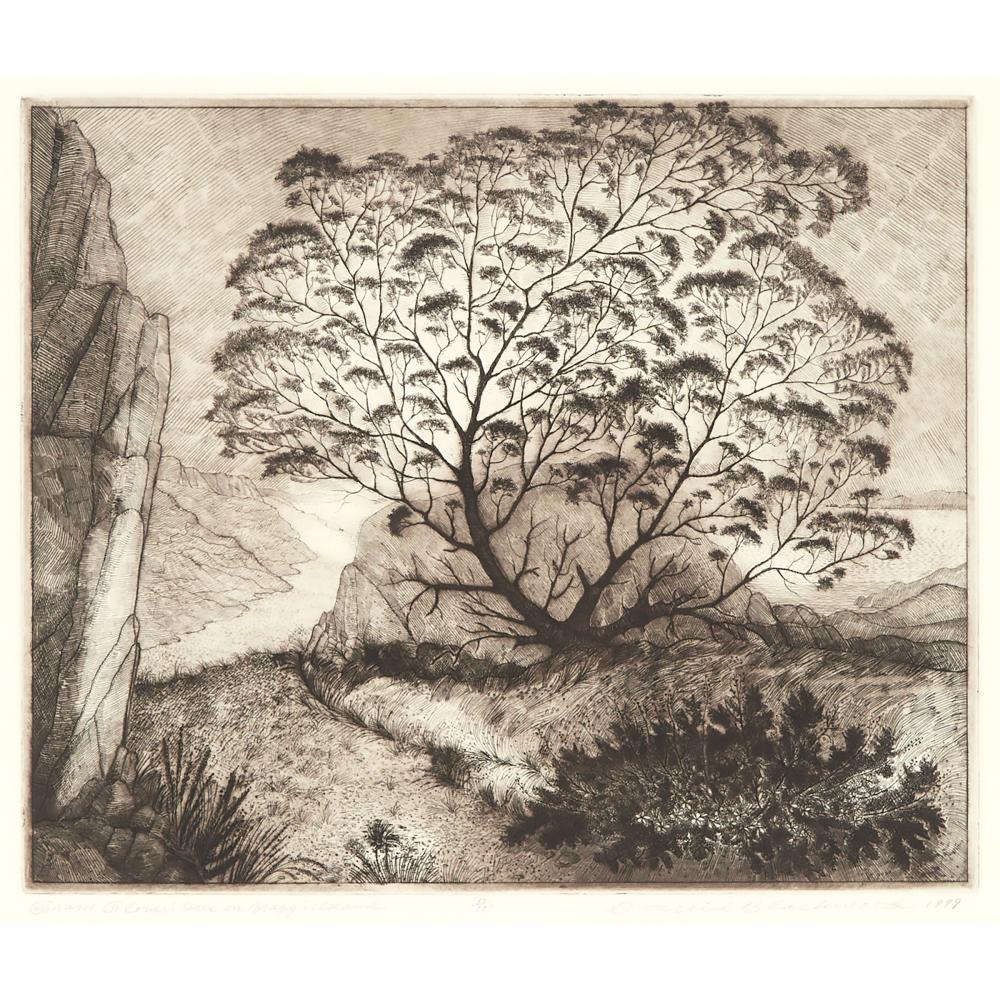 DAVID LLOYD BLACKWOOD, O.S.A., R.C.A., GRAM GLOVER'S TREE ON BRAGG'S ISLAND, 1999, etching, sight 15