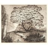 DAVID LLOYD BLACKWOOD, O.S.A., R.C.A., GRAM GLOVER'S TREE ON BRAGG'S ISLAND, 1999, etching, sight 15