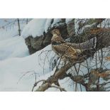 ROBERT BATEMAN, R.C.A., RUFFED GROUSE, 1978, 20 ins x 30 ins; 50.8 cms x 76.2 cms