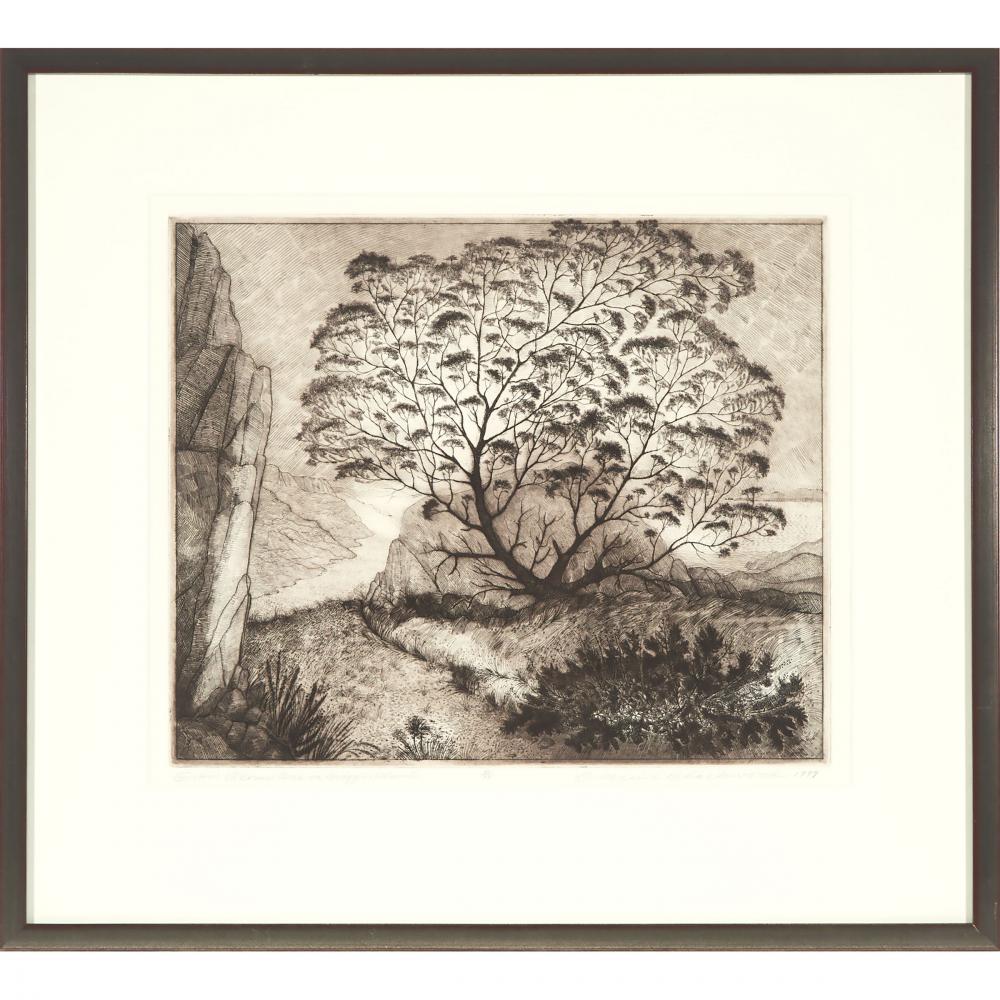DAVID LLOYD BLACKWOOD, O.S.A., R.C.A., GRAM GLOVER'S TREE ON BRAGG'S ISLAND, 1999, etching, sight 15 - Image 2 of 6