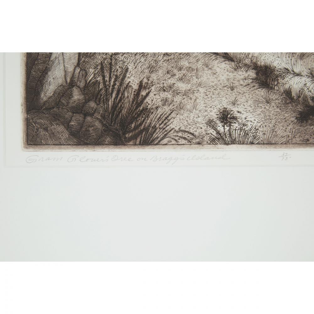 DAVID LLOYD BLACKWOOD, O.S.A., R.C.A., GRAM GLOVER'S TREE ON BRAGG'S ISLAND, 1999, etching, sight 15 - Image 4 of 6