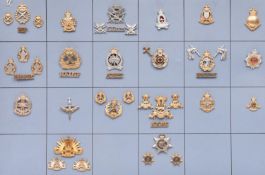 19 ERII Australian anodised cap badges, mostly Corps, many with matching pairs of collar badges or