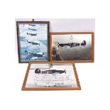 2 mirror prints of a Spitfire and Hurricane, with facsimile signatures of WWII pilots, 19” x 13”, in