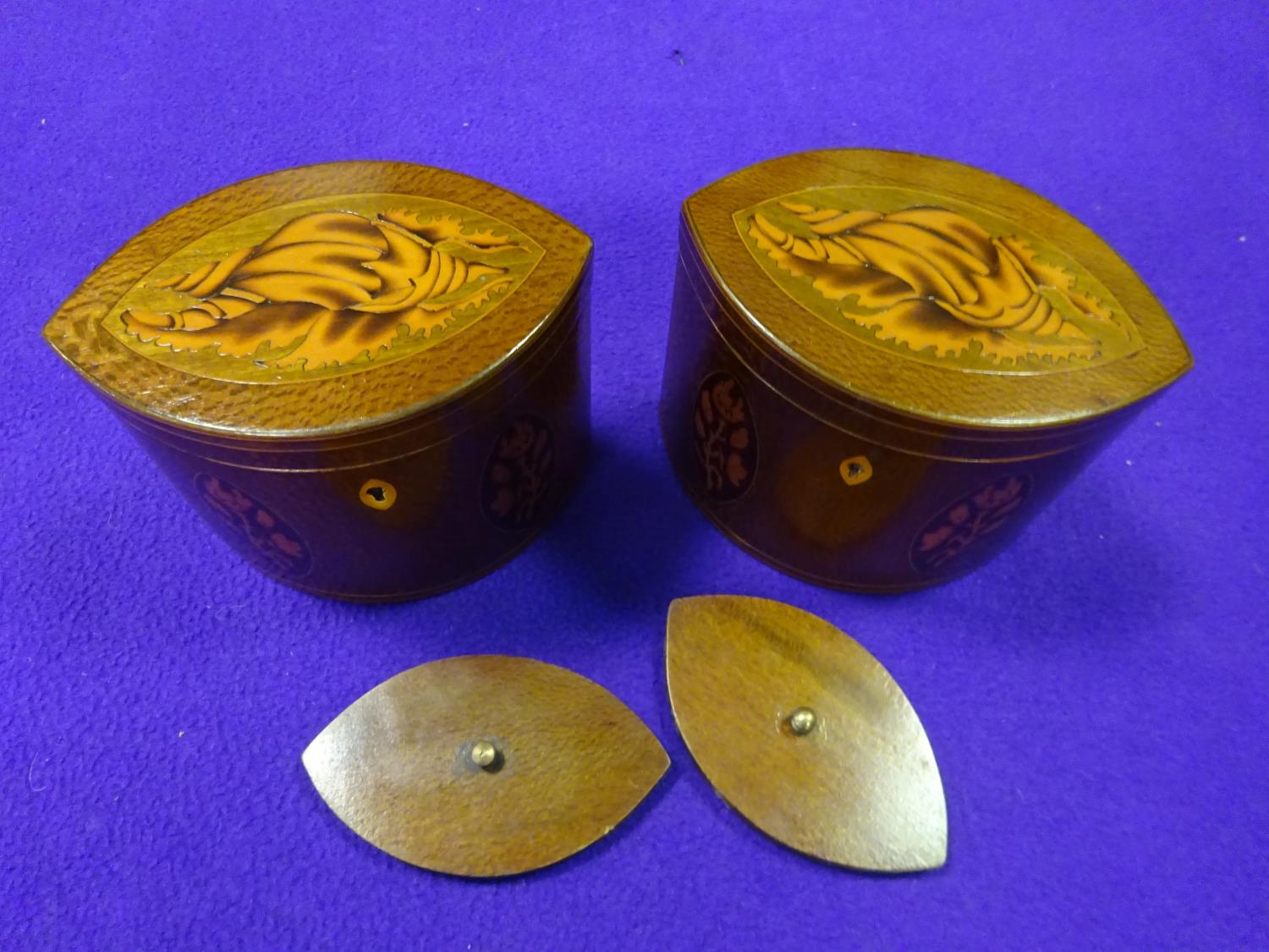 A pair of marquetry tea caddies. Decorative shells to hinged lids and flowers and stringing to - Image 3 of 5