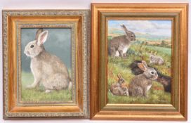 Brian Tovey, a pair of oil paintings on board. Rabbit warren and rabbit. Both signed. Approx