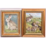 Brian Tovey, a pair of oil paintings on board. Rabbit warren and rabbit. Both signed. Approx