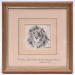 An original David Shepherd pencil sketch on paper of a lion's face directly face on. Signed in the