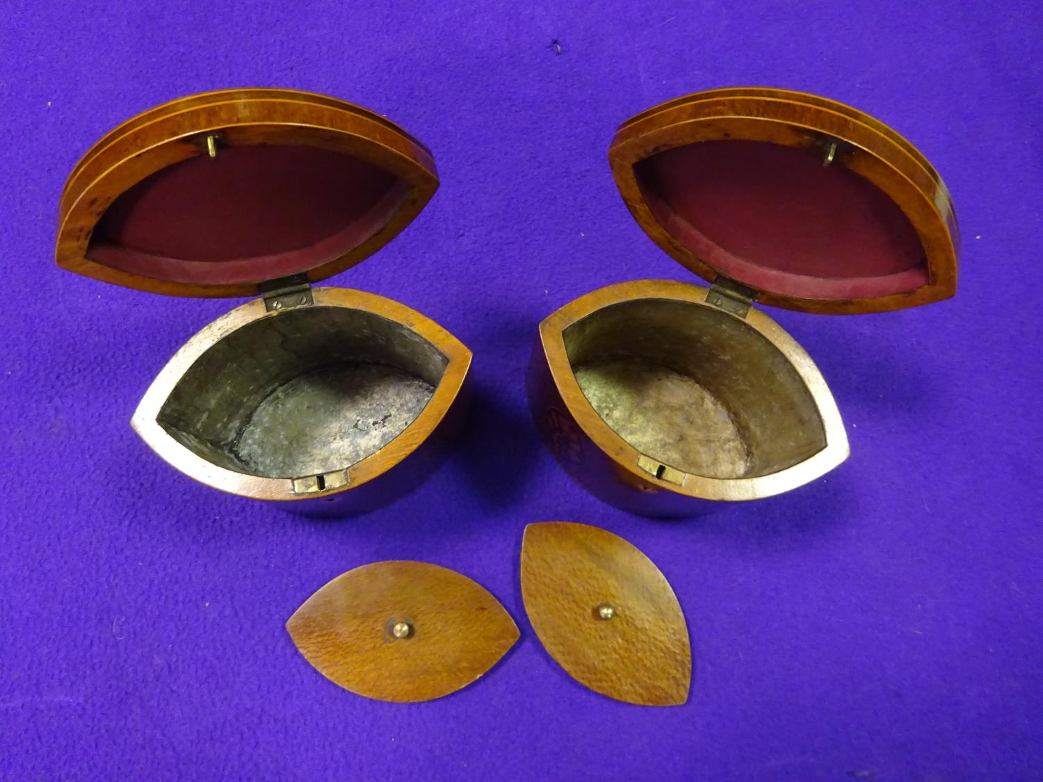 A pair of marquetry tea caddies. Decorative shells to hinged lids and flowers and stringing to - Image 2 of 5