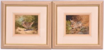 Christopher Hughes, 2x watercolours of woodcock. Both signed in the bottom right corner. Approx