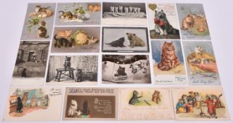 29x postcards of cats and dogs. All early 20th Century postcards published by Raphael Tuck & Sons,