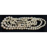 A two strand cultured pearl necklace, the white metal clasp marked 585, length 38g, gross wt. 24.