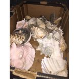 A box of sea shells Live bidding available via our website, if you require P&P please read important