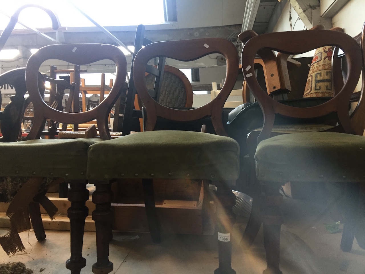 Three Victorian balloon backed dining chairs Live bidding available via our website, if you