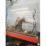 Diorama - Model warrior in perspex display case Live bidding available via our website, if you