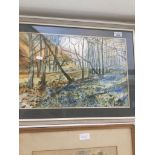 V. Hadfield, woodland scene watercolour, signed lower right, framed and glazed. Live bidding