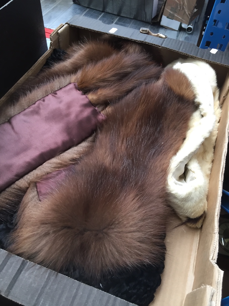 Box of fur collars