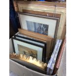 A box of paintings, pictures and mirrors to include unframed crystoleum, gilt ornate mirror,