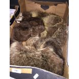 A box of vintage furs