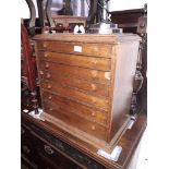An early 20th century camphor lined oak specimen cabinet, width 52cm, depth 31cm & height 53cm.