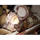 Box of shell dolls and ornaments