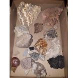 Box of rock samples