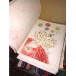 An artists sketch portfolio containing several watercolour illustrations - Beverley Haines