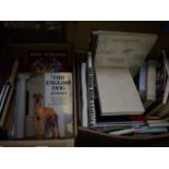 Two boxes of mainly modern books