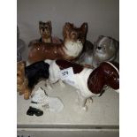 A collection of ornamental dogs