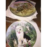 Eight animal collectors plates