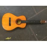 Vittoro acoustic guitar with soft case