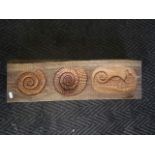 Wooden carving, carved with a seahorse and two ammonites.
