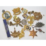 A quantity of military cap badges etc.