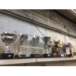 Approx 17 various motorcycling trophies